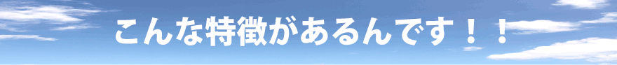 こんな特徴があるのです